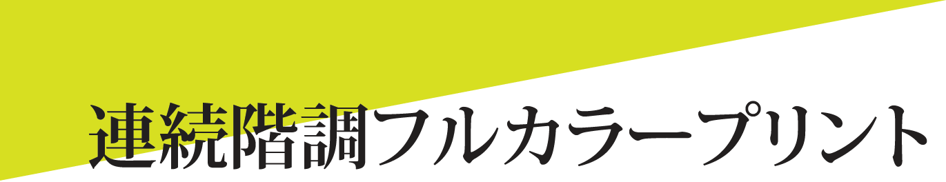 連続階調フルカラープリント