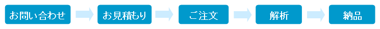 3D構造解析サービスの流れ